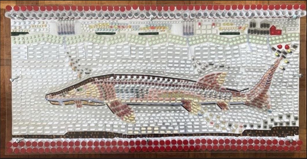 Nederlandse Ministers pakten voortrekkersrol voor heruitgifte retour- en restmedicatie.: